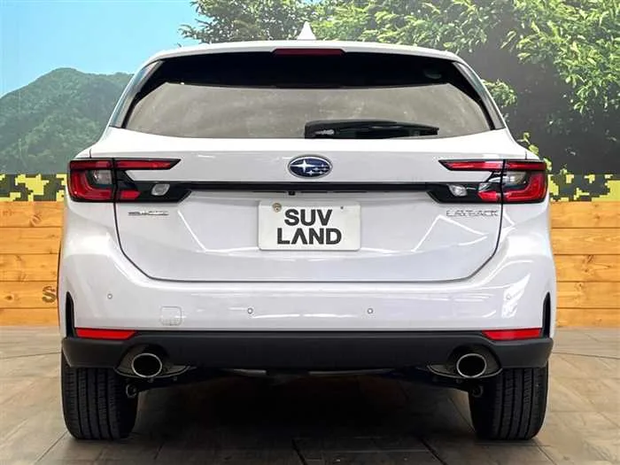 Subaru Subaru Others 2024 — миниатюра 2