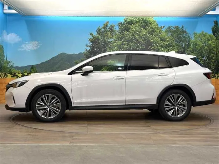 Subaru Subaru Others 2024 — миниатюра 5