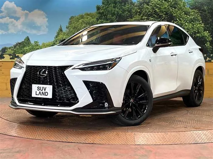 Lexus NX 2023 — фото 1, купить с доставкой в Москву