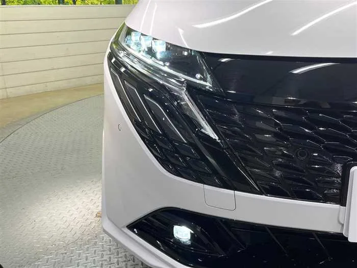 Nissan Nissan Others 2024 — миниатюра 3