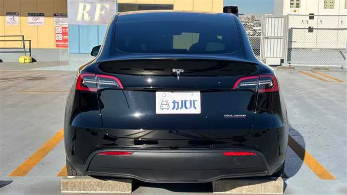 Tesla Motors Others 2022 — миниатюра 4
