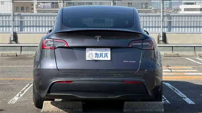 Tesla Motors Others 2022 — миниатюра 4