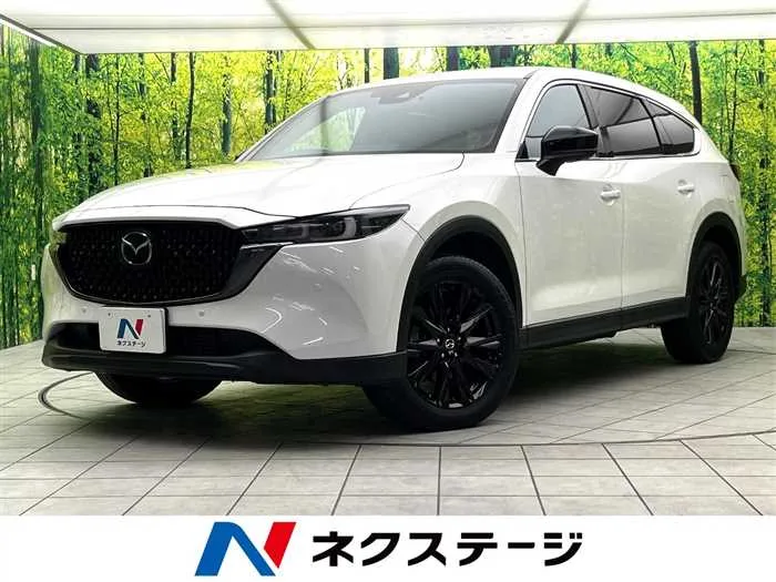 Mazda CX-8 2023 — миниатюра 4