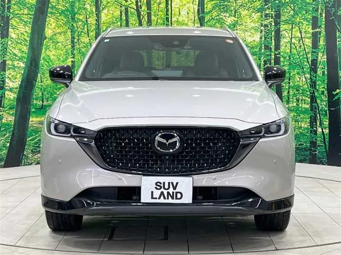 Mazda CX-8 2023 — миниатюра 2