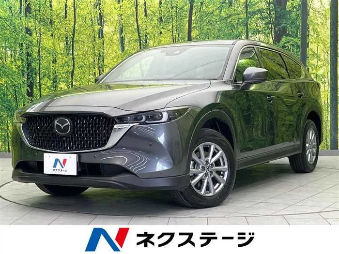 Mazda CX-8 2023 — миниатюра 4