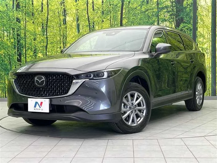 Mazda CX-8 2023 — фото 1, купить с доставкой в Москву