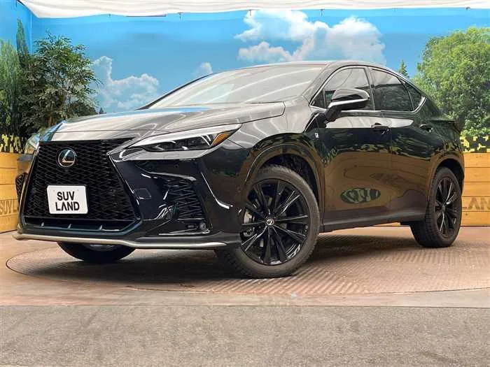 Lexus NX 2025 — фото 1, купить с доставкой в Москву