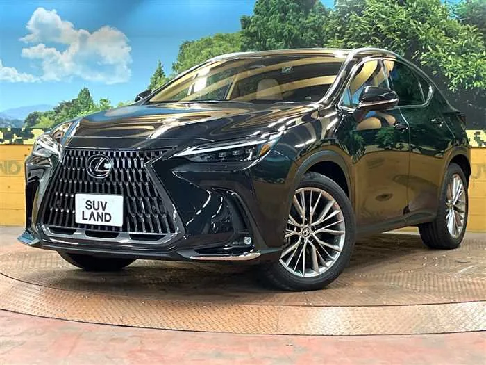 Lexus NX 2023 — фото 1, купить с доставкой в Москву
