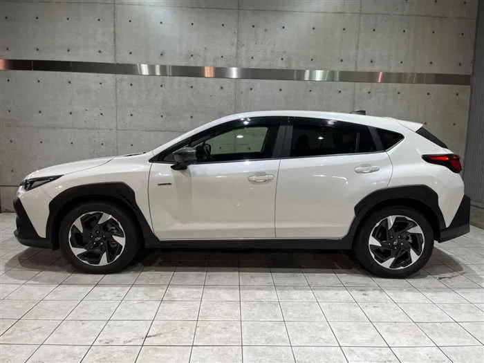 Subaru Subaru Others 2023 — миниатюра 2