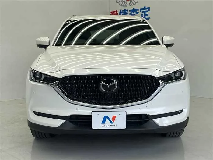 Mazda CX-8 2022 — миниатюра 2