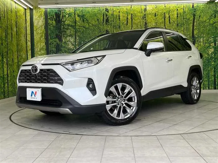 Toyota RAV4 2023 — фото 1, купить с доставкой в Москву