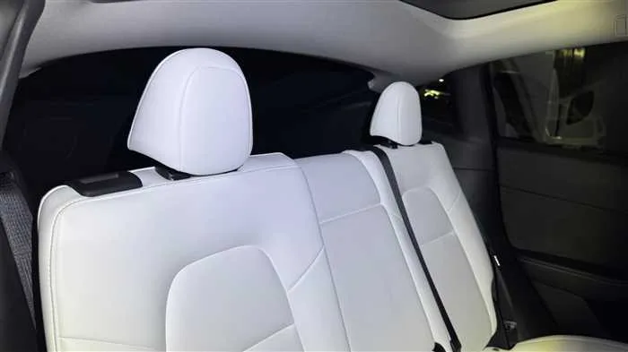 Tesla Motors Others 2024 — миниатюра 2