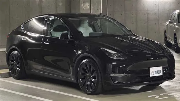 Tesla Motors Others 2024 — миниатюра 3