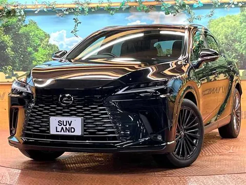 Lexus RX 2024 buy in Moscow