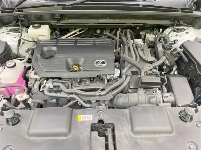 Lexus NX 2023 — миниатюра 2
