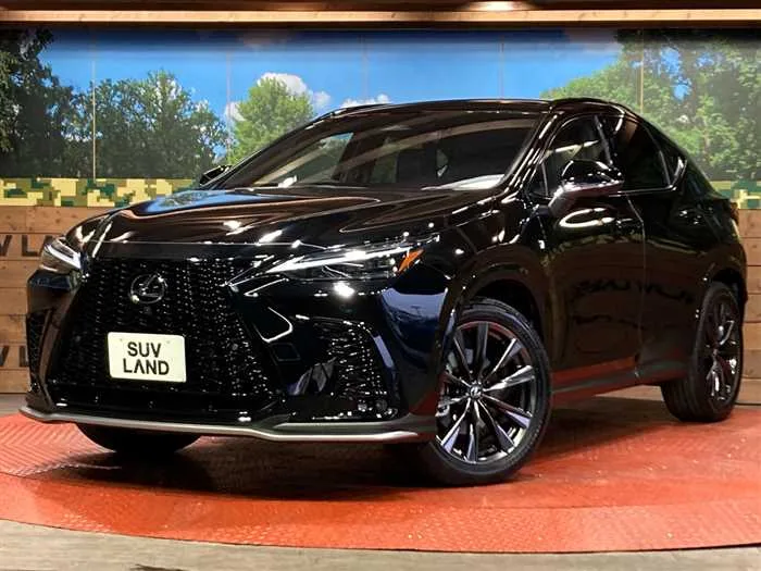 Lexus NX 2024 — фото 1, купить с доставкой в Москву