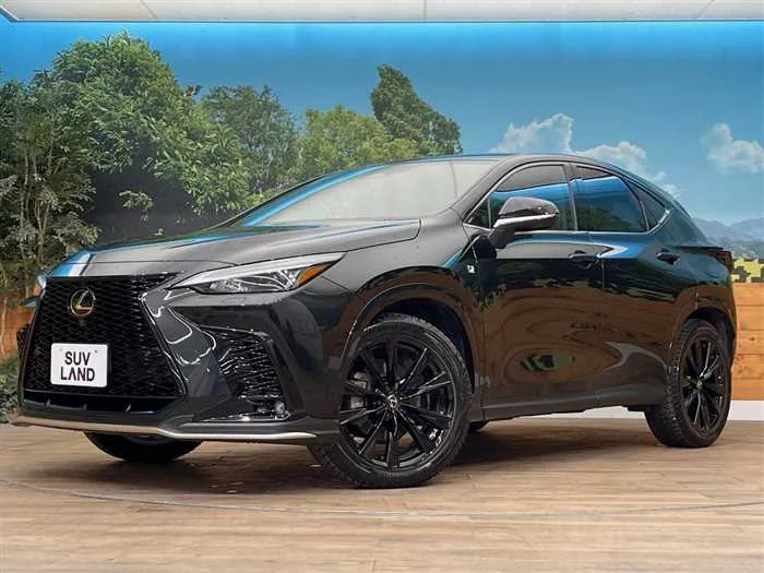 Lexus NX 2024 — фото 1, купить с доставкой в Москву